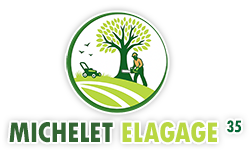 elagage-michelet-paysagiste